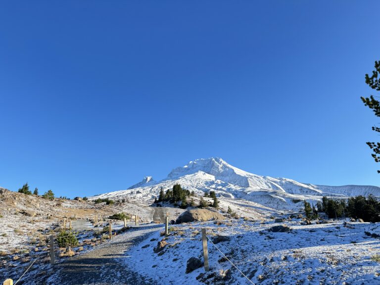 Timberline Trail Out & Back